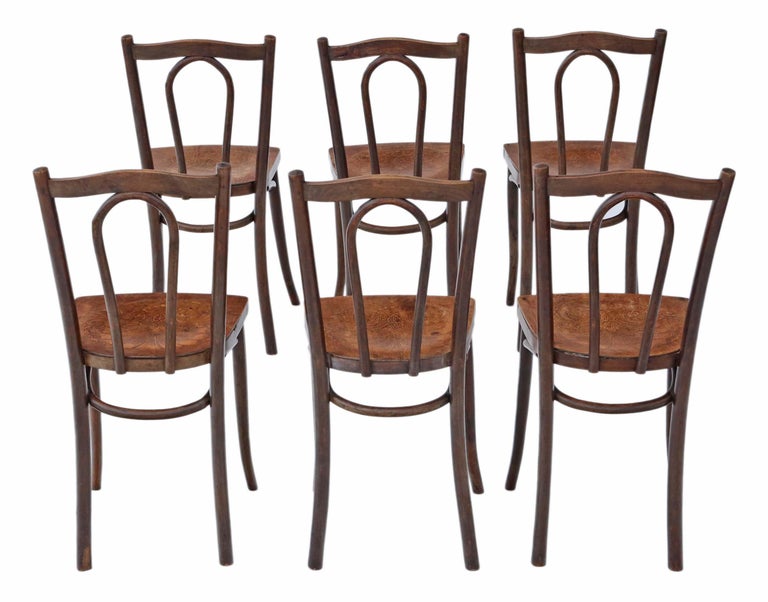 Set of 6 Early Bentwood Kitchen Dining Chairs, 19th Century For Sale at