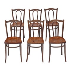 Antique Set of 6 Early Bentwood Kitchen Dining Chairs, 19th Century