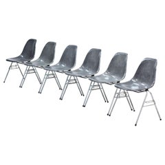 Set of 6 Elephant Grey "DSS" Eames Chairs