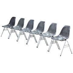 Set of 6 Elephant Grey "DSS" Eames Chairs