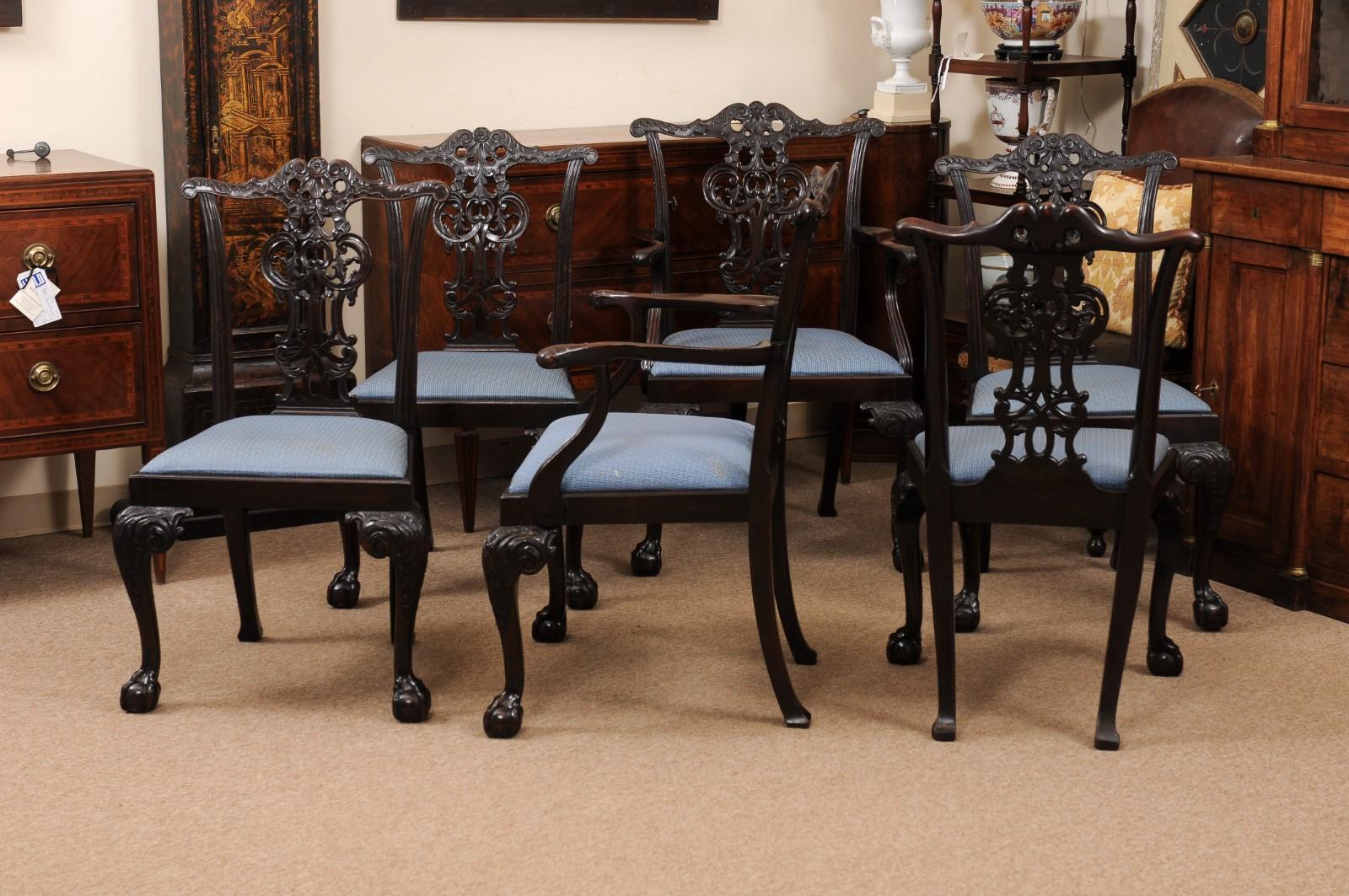 Set of 6 English Chippendale Style Mahogany Dining Chairs with Ball & Claw Feet For Sale 4