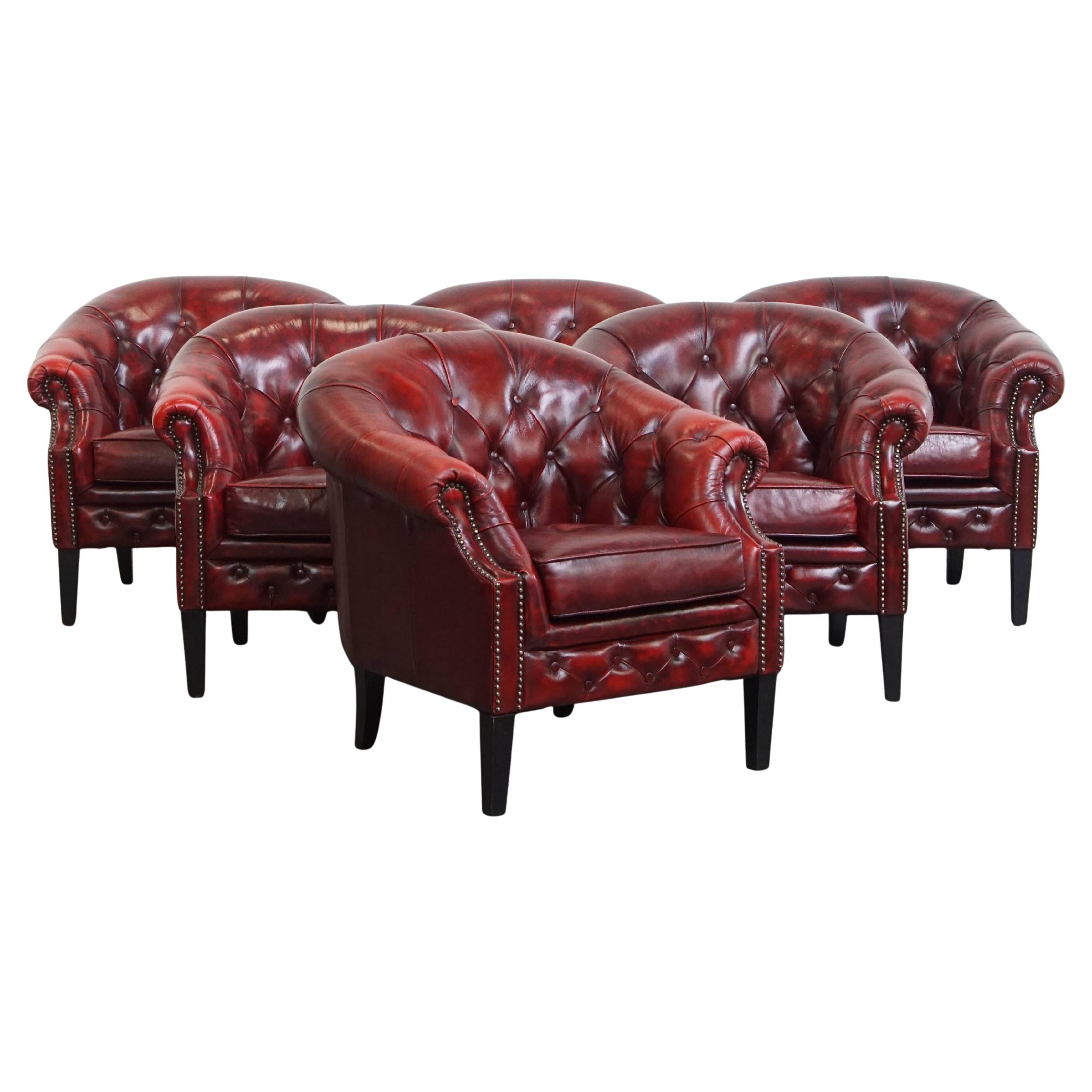 Set of 6 English Cowhide Leather Chesterfield Club Chairs