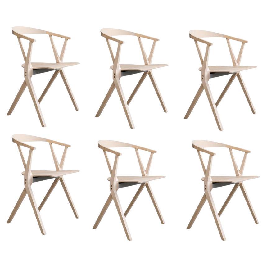 Set of 6  Foldable B Chairs With Varnished In Natural Ash Finish For Sale