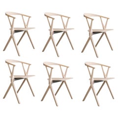 Set of 6  Foldable B Chairs With Varnished In Natural Ash Finish