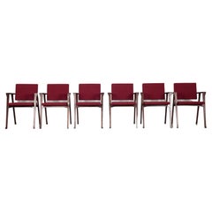 Retro Set of 6 Franco Albini "Luisa" Chairs, Production Carlo Poggi, 1950s