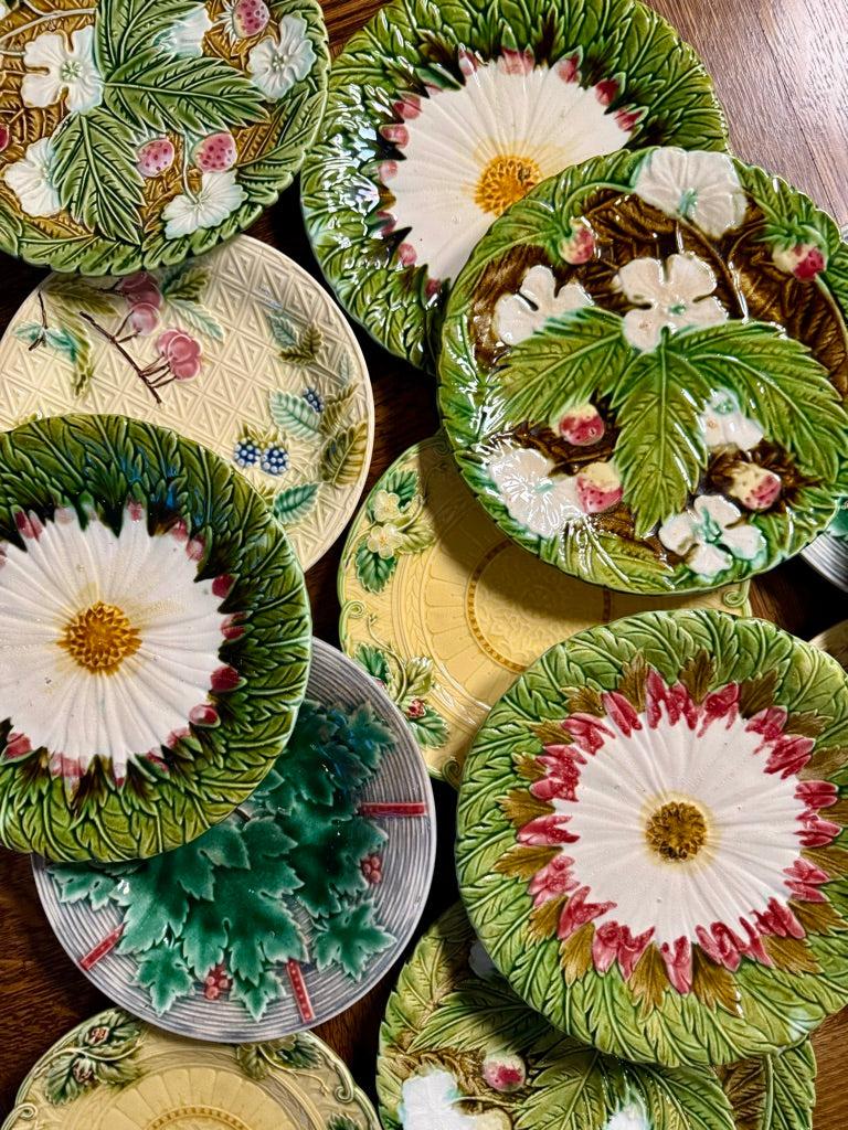 Satz von 6 französischen Barbotine Majolika-Tellern mit Gänseblümchen-Motiv, 1900er Jahre (Glasiert) im Angebot
