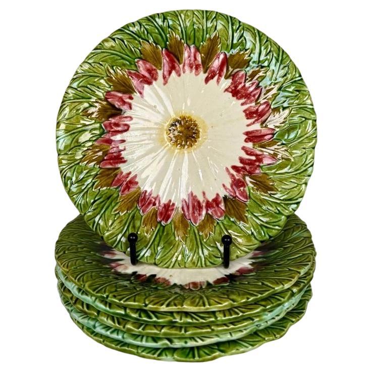 Satz von 6 französischen Barbotine Majolika-Tellern mit Gänseblümchen-Motiv, 1900er Jahre im Angebot