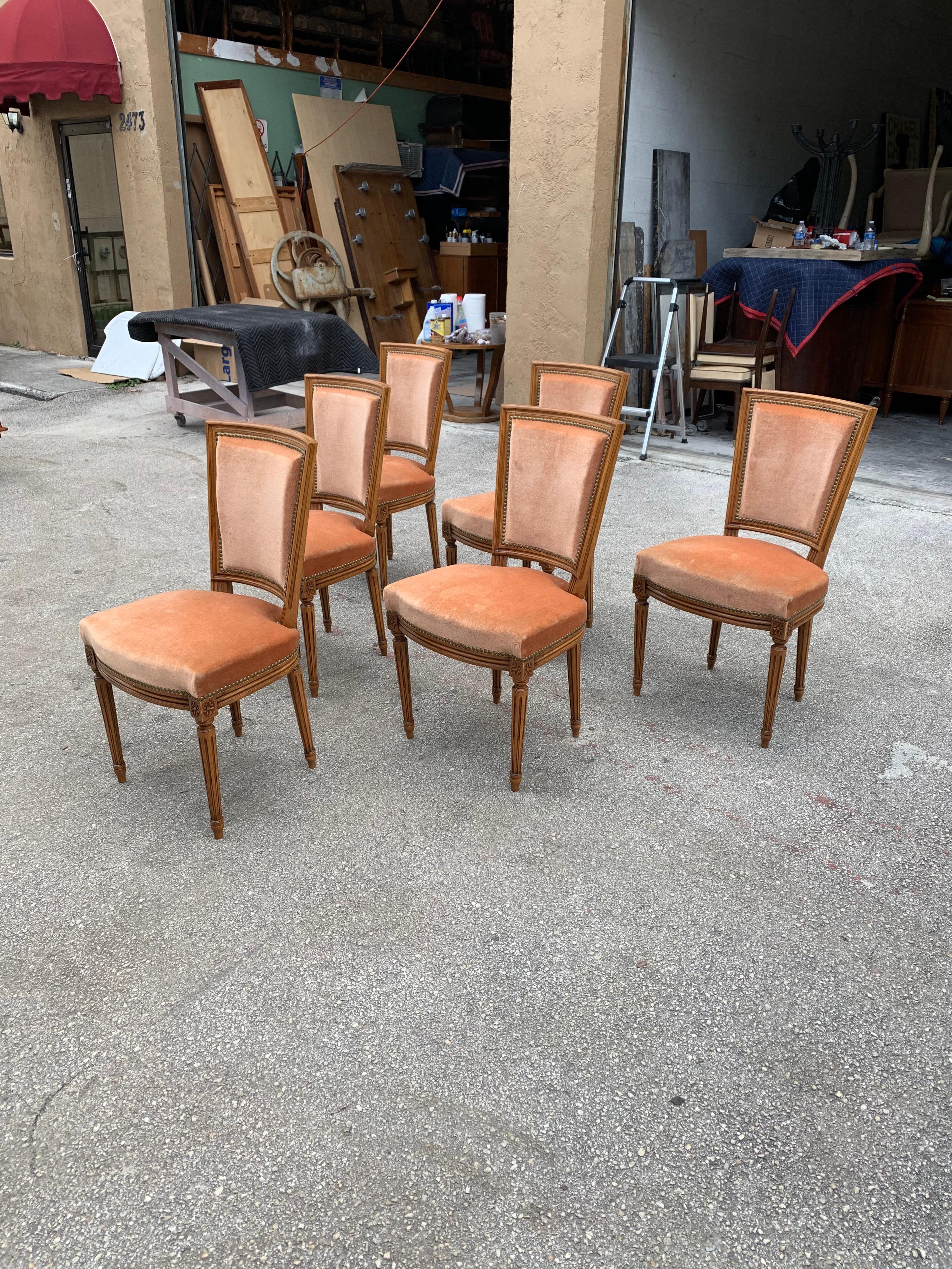 Velvet Set of 6 French Louis Xvl Solid Mahogany Dining Chairs, 1910s For Sale