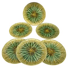 Set of 6 French Majolica Palm Plate Sarreguemines, circa 1870