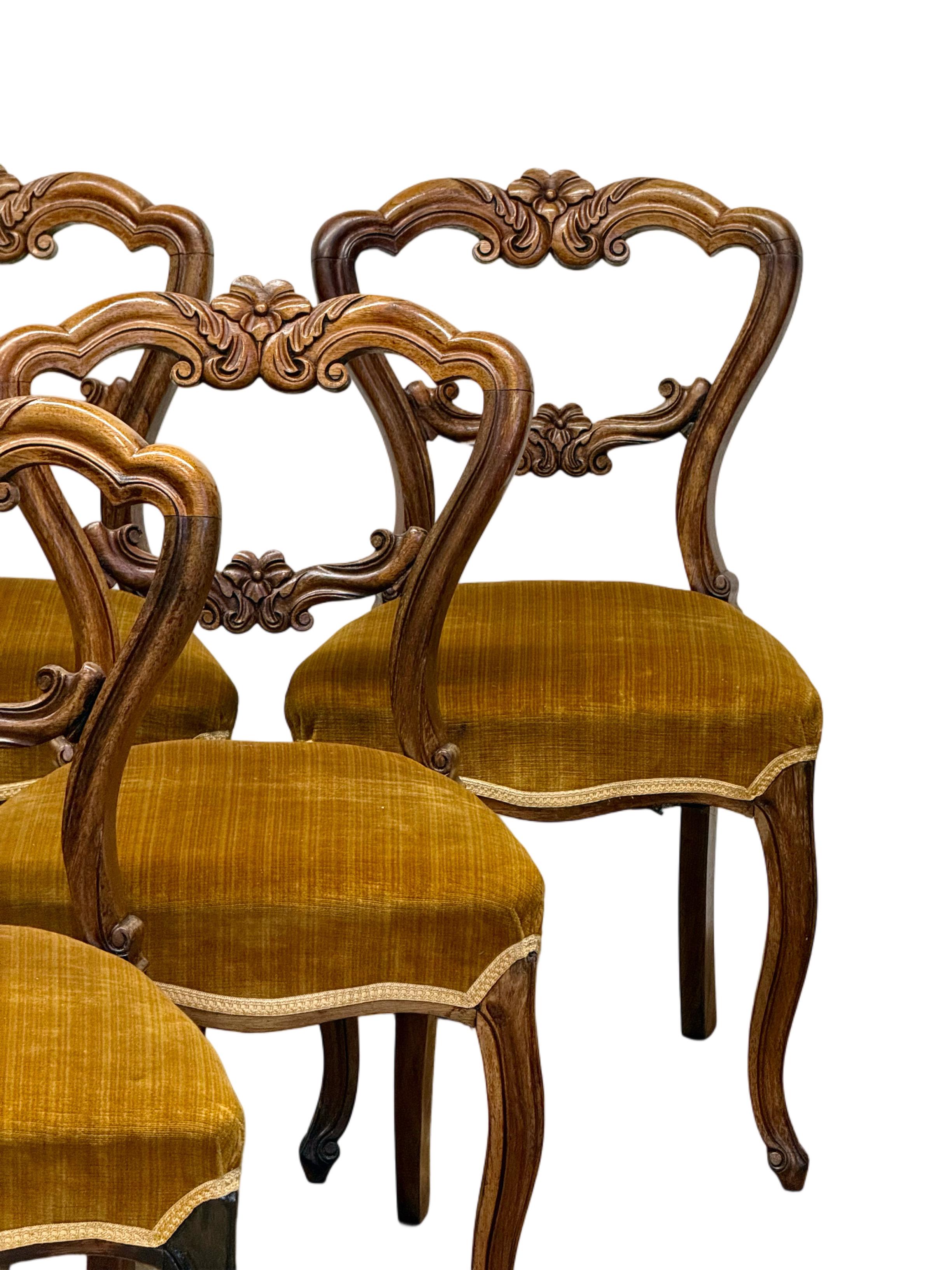 Velvet Set of 6 French Rosewood Antique Balloon-Back Side Chairs with Cabriole Legs For Sale