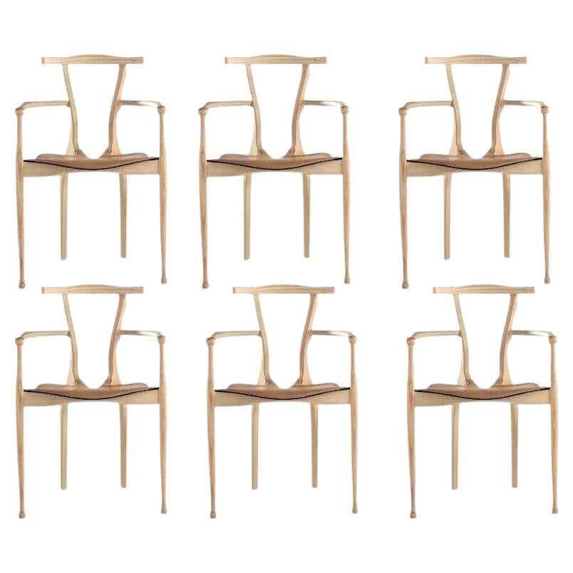 Set of 6 Gaulino Chairs Framed in Natural Varnished Solid Ash and Natural Hide