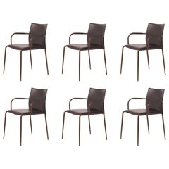 Set of 6 Gazzella Armchairs by Tom Kelley for Enrico Pellizzoni