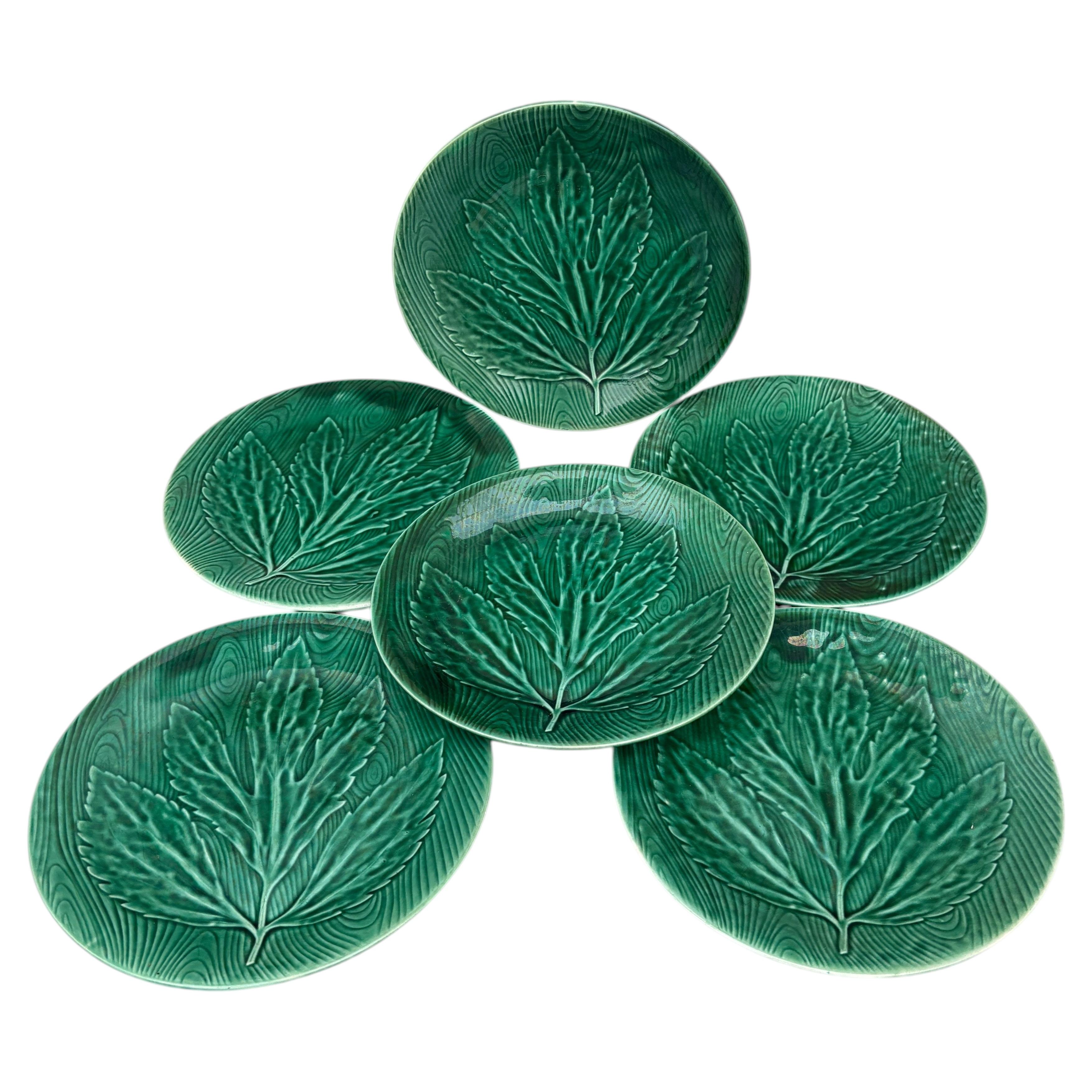 Set of 6 Green Majolica Leaf Plates Gien circa 1950 For Sale