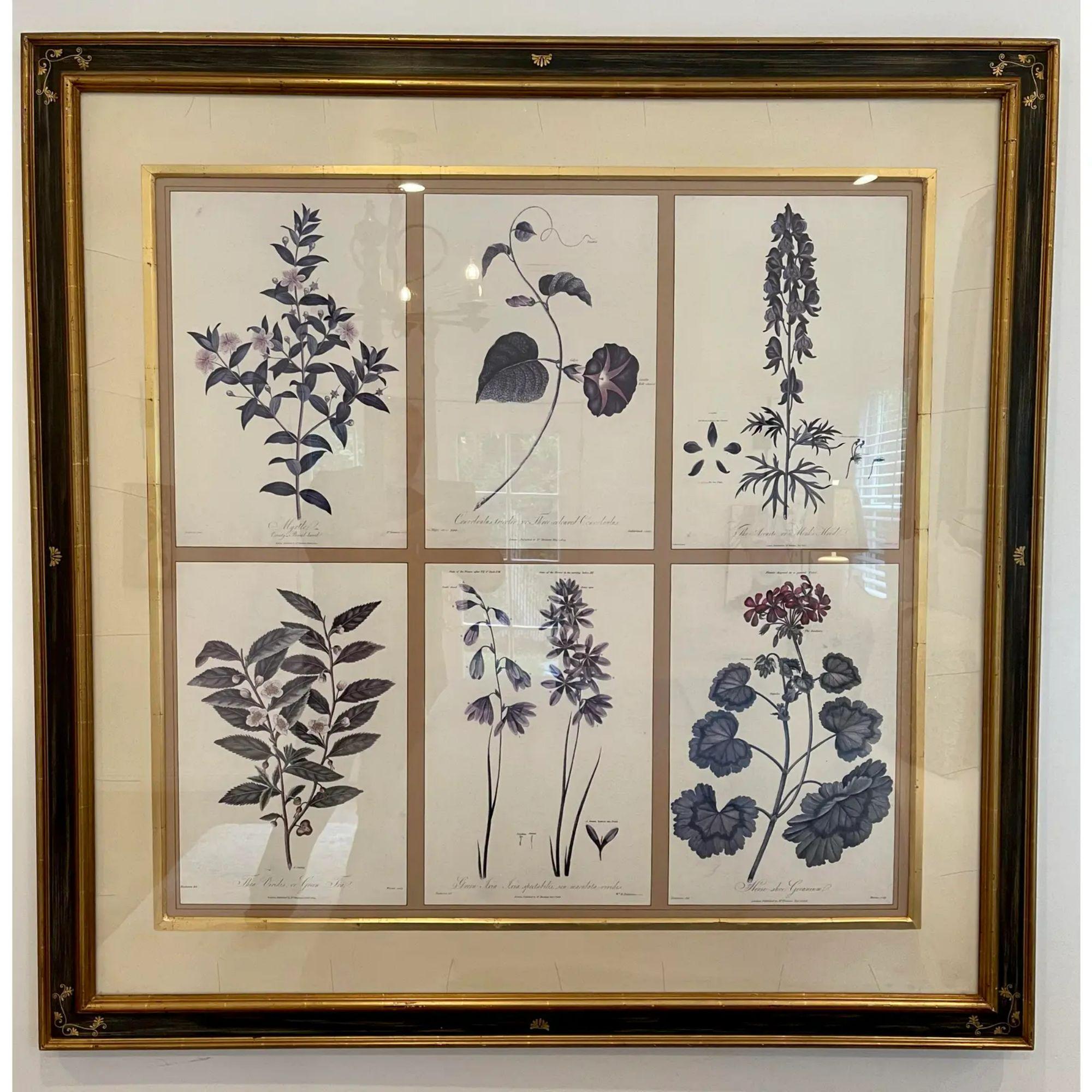 Guy Chaddock home set of 6botanical prints in black & gold chonoiserie frame. Each print measures 12