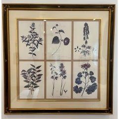 Set of 6 Guy Chaddock Home Botanical Prints in Black & Gold Chonoiserie Framee