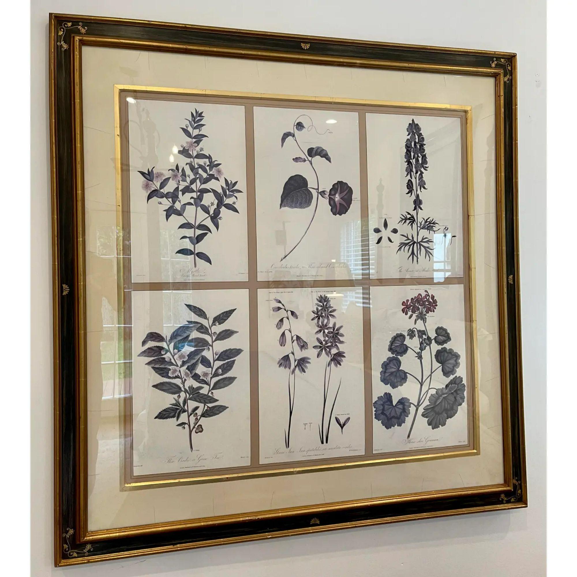 Chinoiserie Set of 6 Guy Chaddock Home Botanical Prints in Black & Gold Chonoiserie Framee