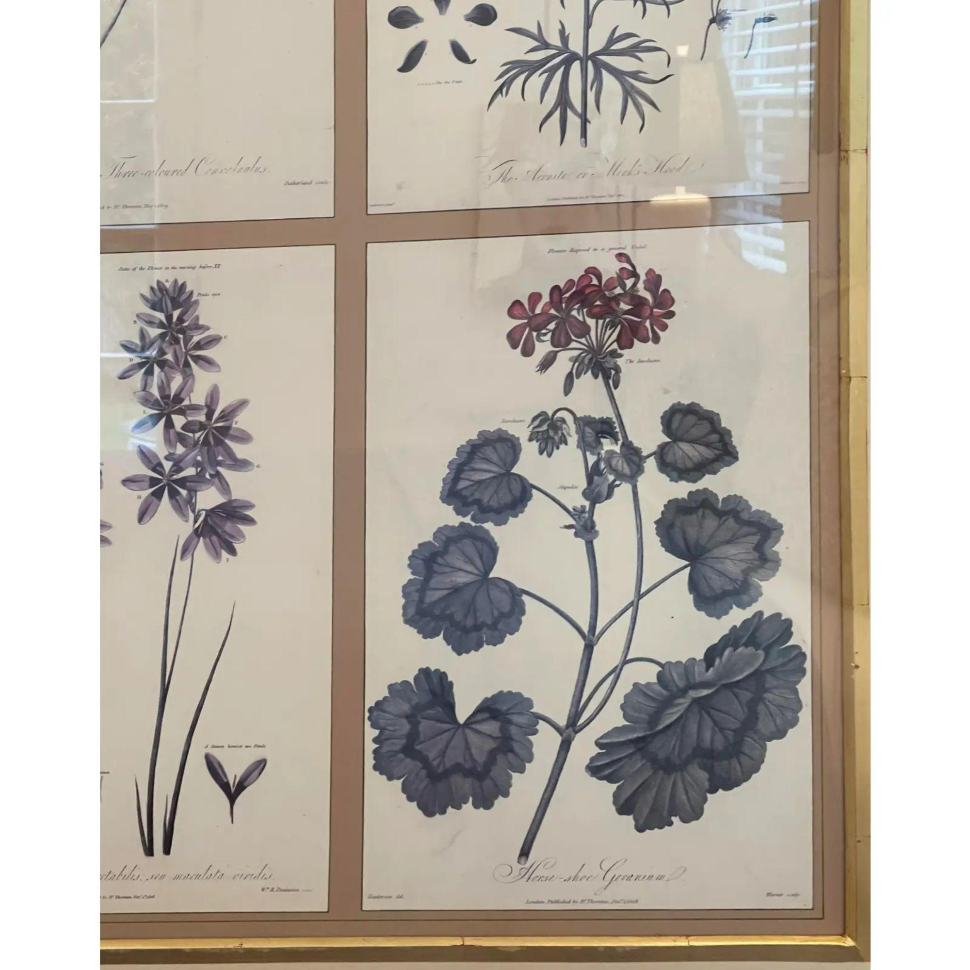 Set of 6 Guy Chaddock Home Botanical Prints in Black & Gold Chonoiserie Framee In Good Condition In LOS ANGELES, CA