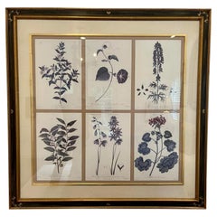 Vintage Set of 6 Guy Chaddock Home Botanical Prints in Black & Gold Chonoiserie Framee