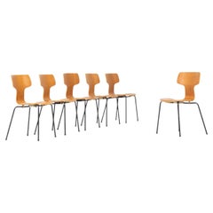 Set of 6 Hammer chairs by Arne Jacobsen for Fritz Hansen, 1960