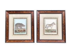 Set of 6 Hand-Colored Engravings by Georges Louis Leclerc, Comte De Buffon