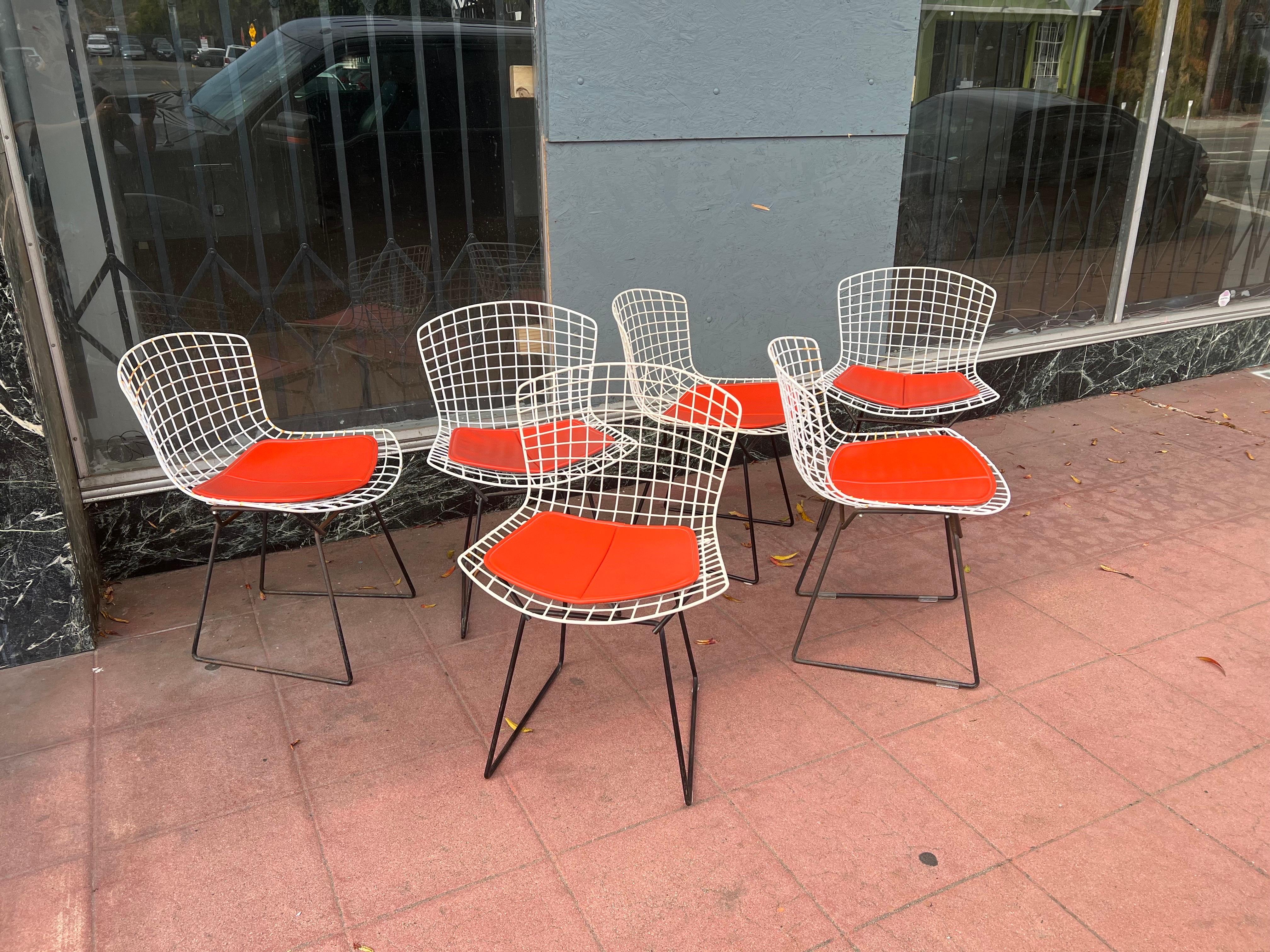 Mid-Century Modern Set of 6 Harry Bertoia Design Chairs for Knoll