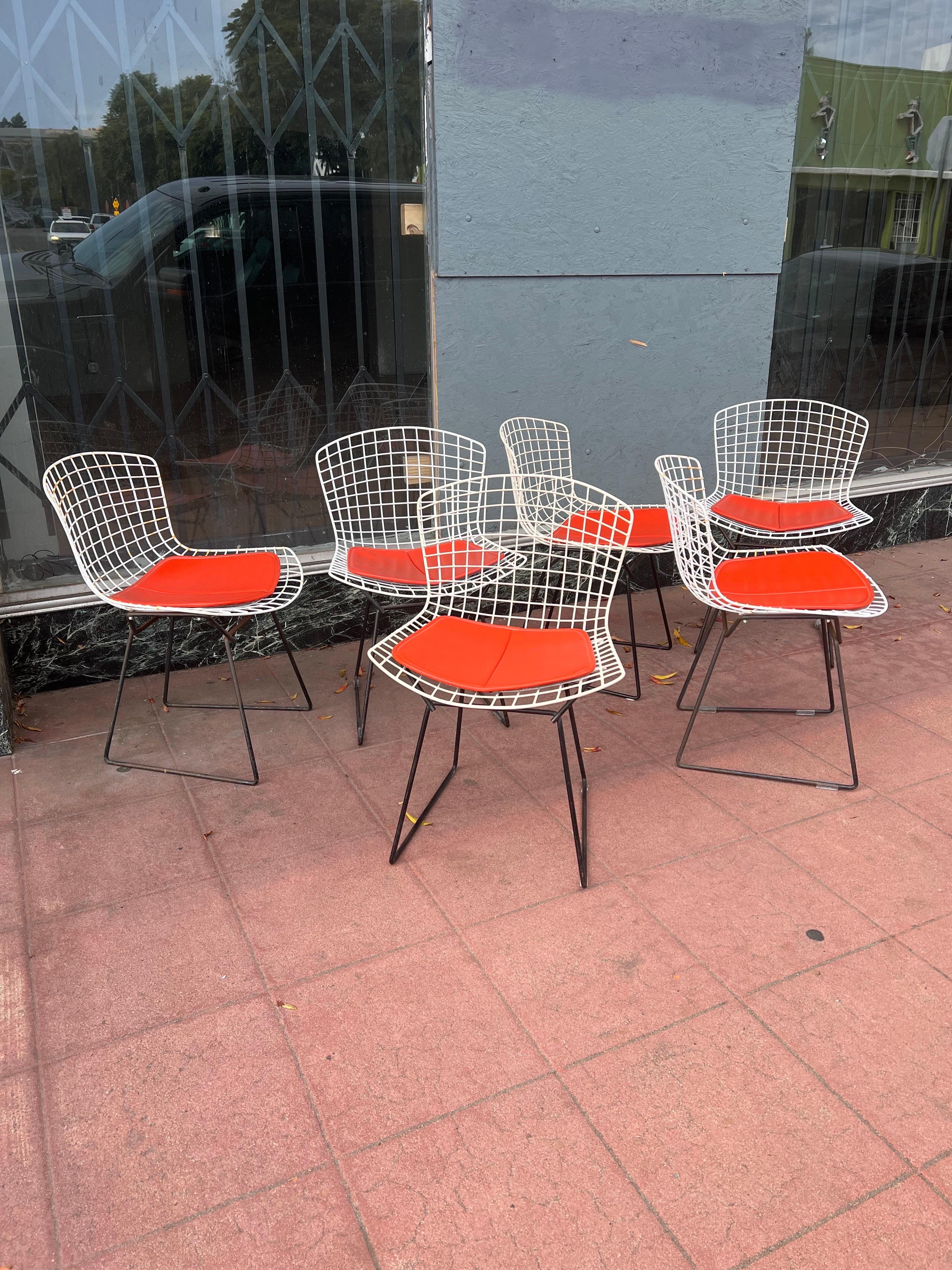 American Set of 6 Harry Bertoia Design Chairs for Knoll