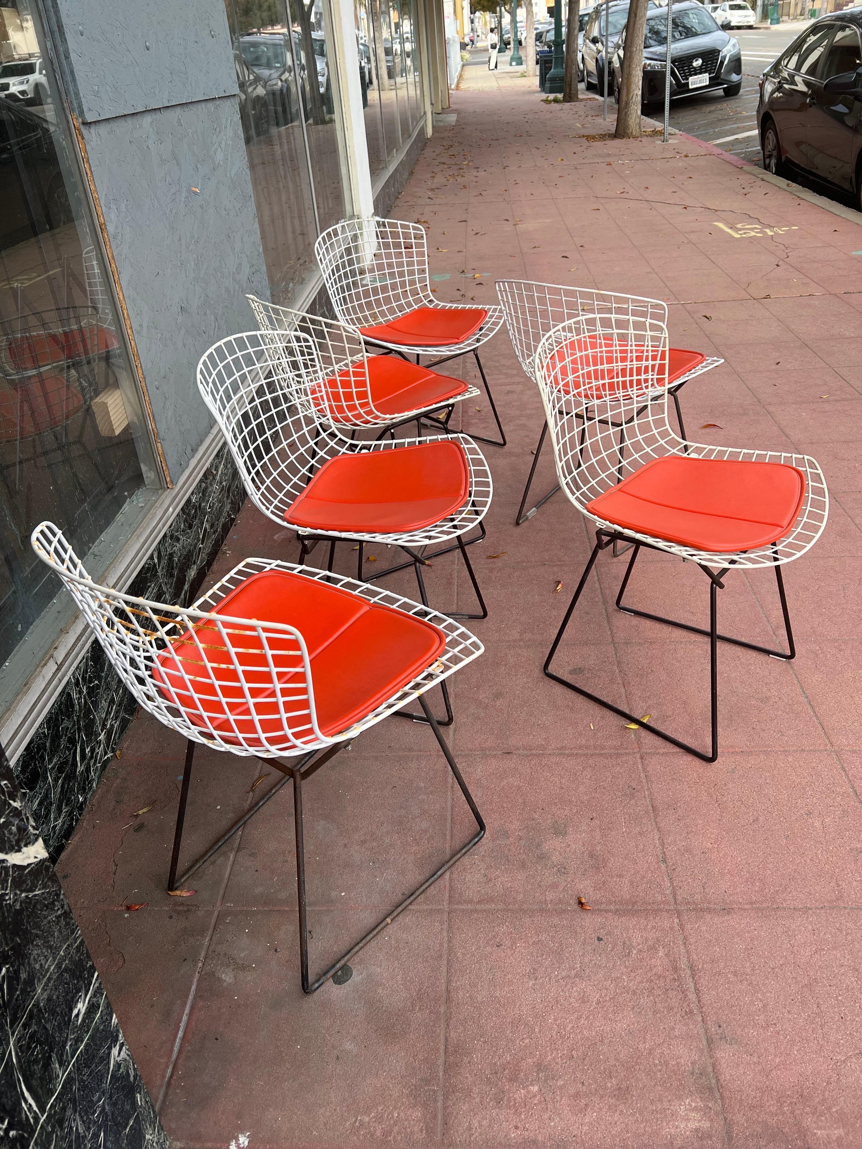 Set of 6 Harry Bertoia Design Chairs for Knoll In Good Condition In San Diego, CA