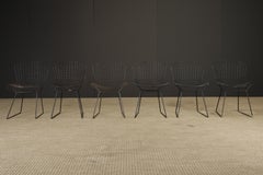 Set of 6 Harry Bertoia for Knoll International Black Wire Dining Chairs, 1970s