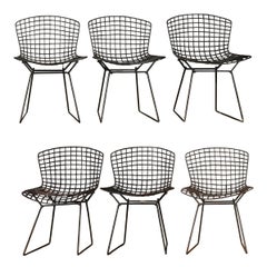 Set of 6 Harry Bertoia for Knoll International Black Wire Dining Chairs, 1970s