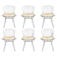 Set of 6 Harry Bertoia for Knoll Wire Side Chairs Tan Leather Mid Century Modern