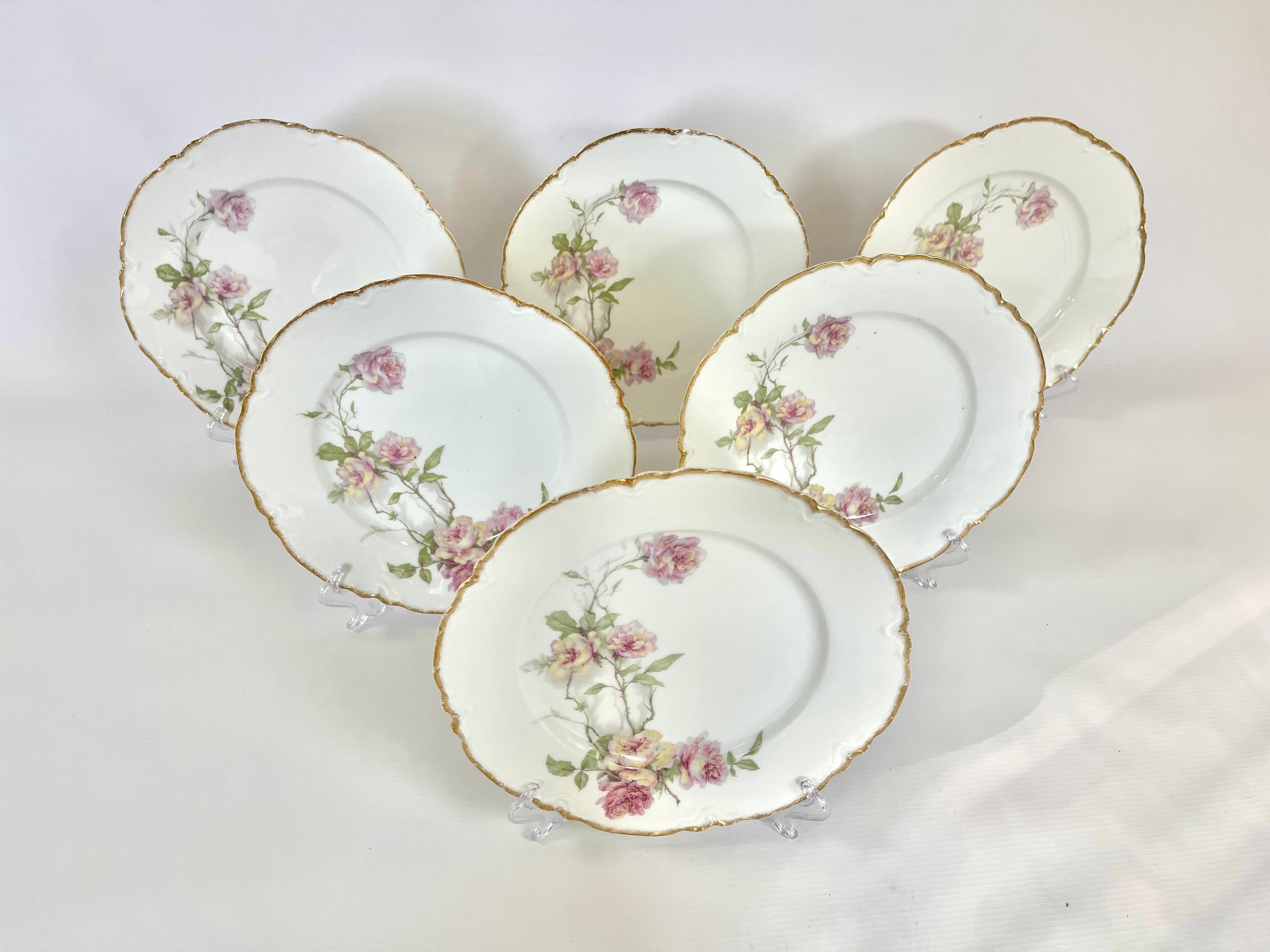Lote de 6 platos llanos Haviland Limoges 