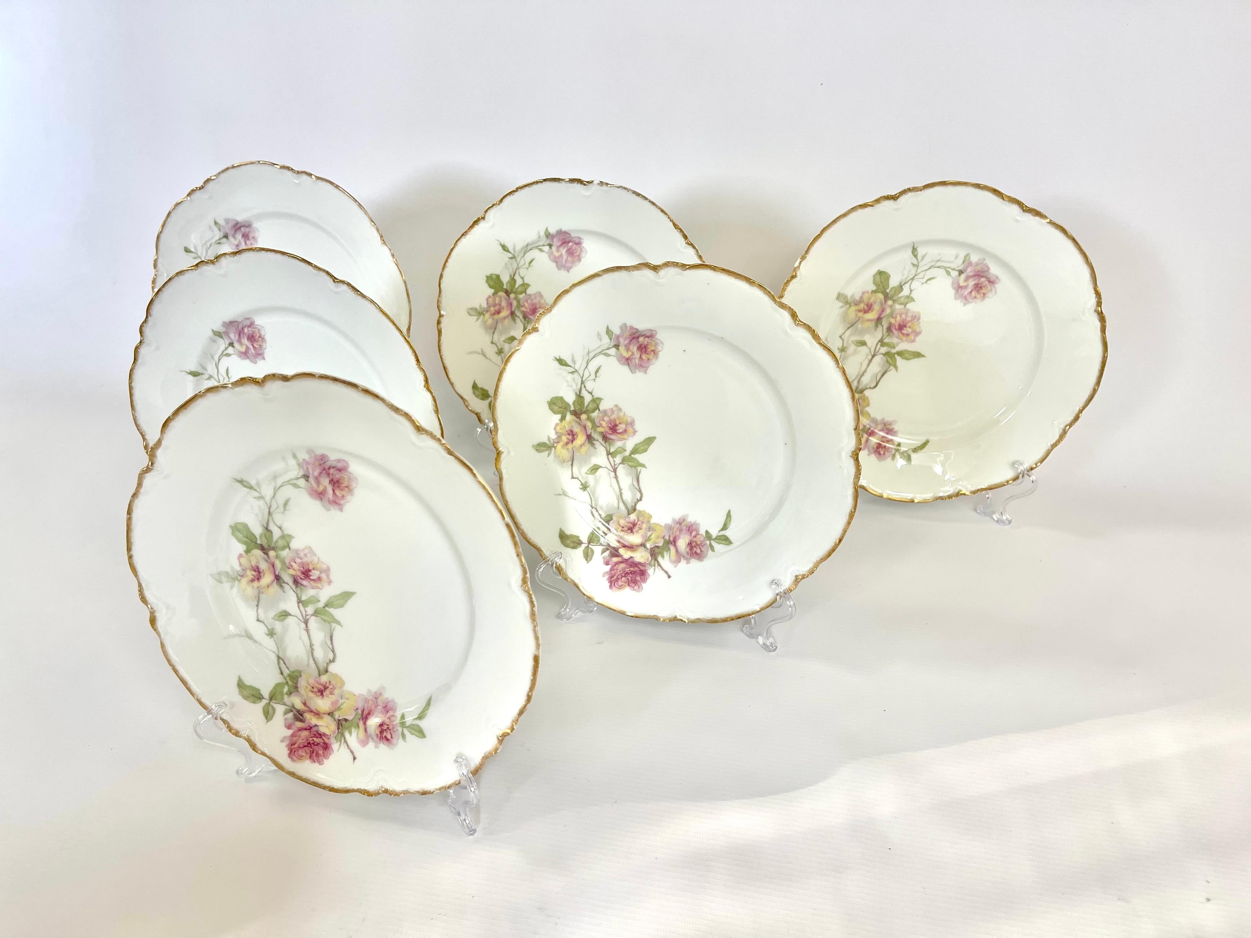 Lote de 6 platos llanos Haviland Limoges 