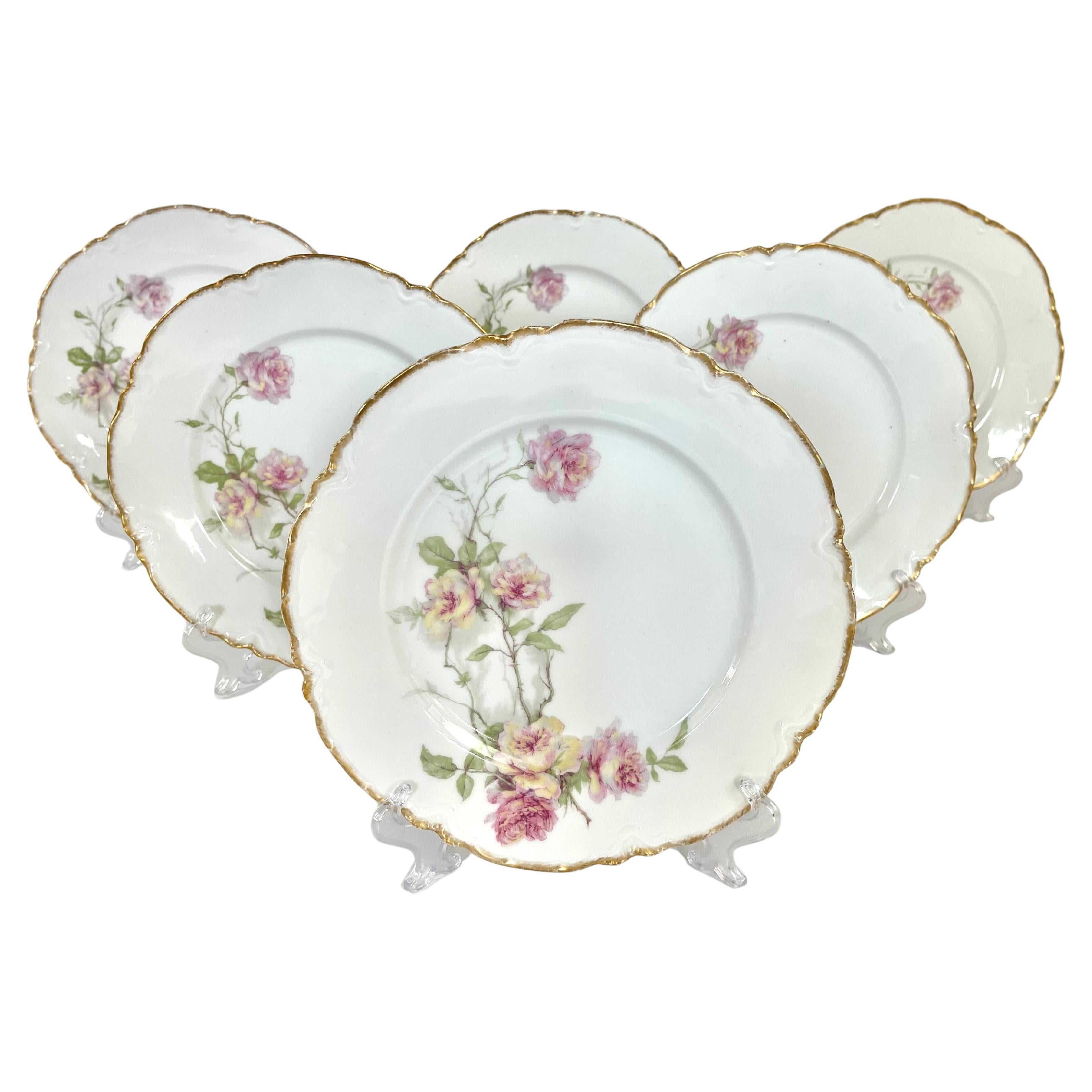 Set di 6 piatti da portata Haviland Limoges "Baltimore Rose