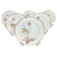 Set of 6 Haviland Limoges "Baltimore Rose" Dinner Plates