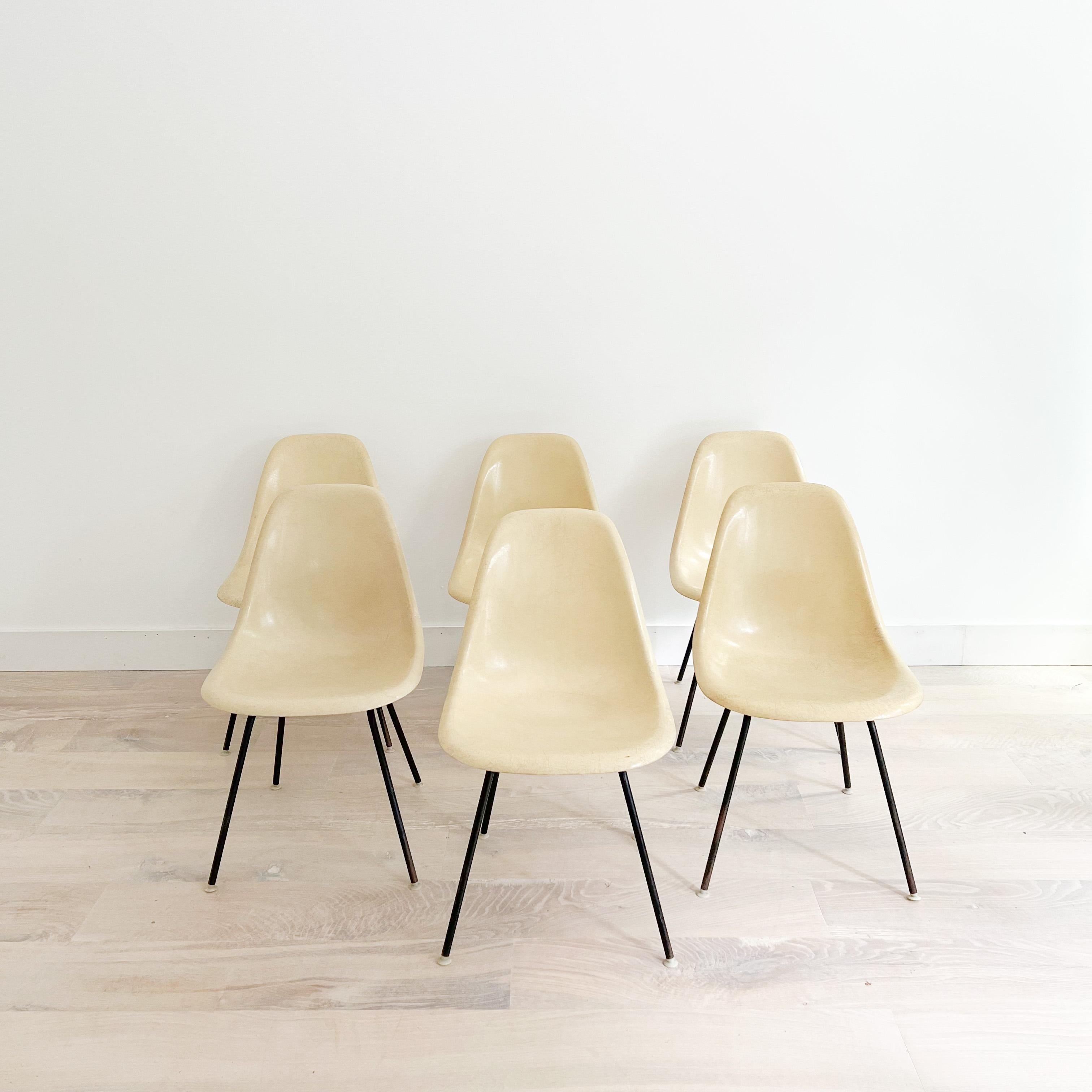 Set of 6 Eames DSX shell chairs for Herman Miller in a yellow grey color. Some scuffing/scratching/fading from age appropriate wear. Labeled Herman Miller.

The abbreviation of the Eames DSX stands for Dining Height Side Chair with X-Base; i.e. the