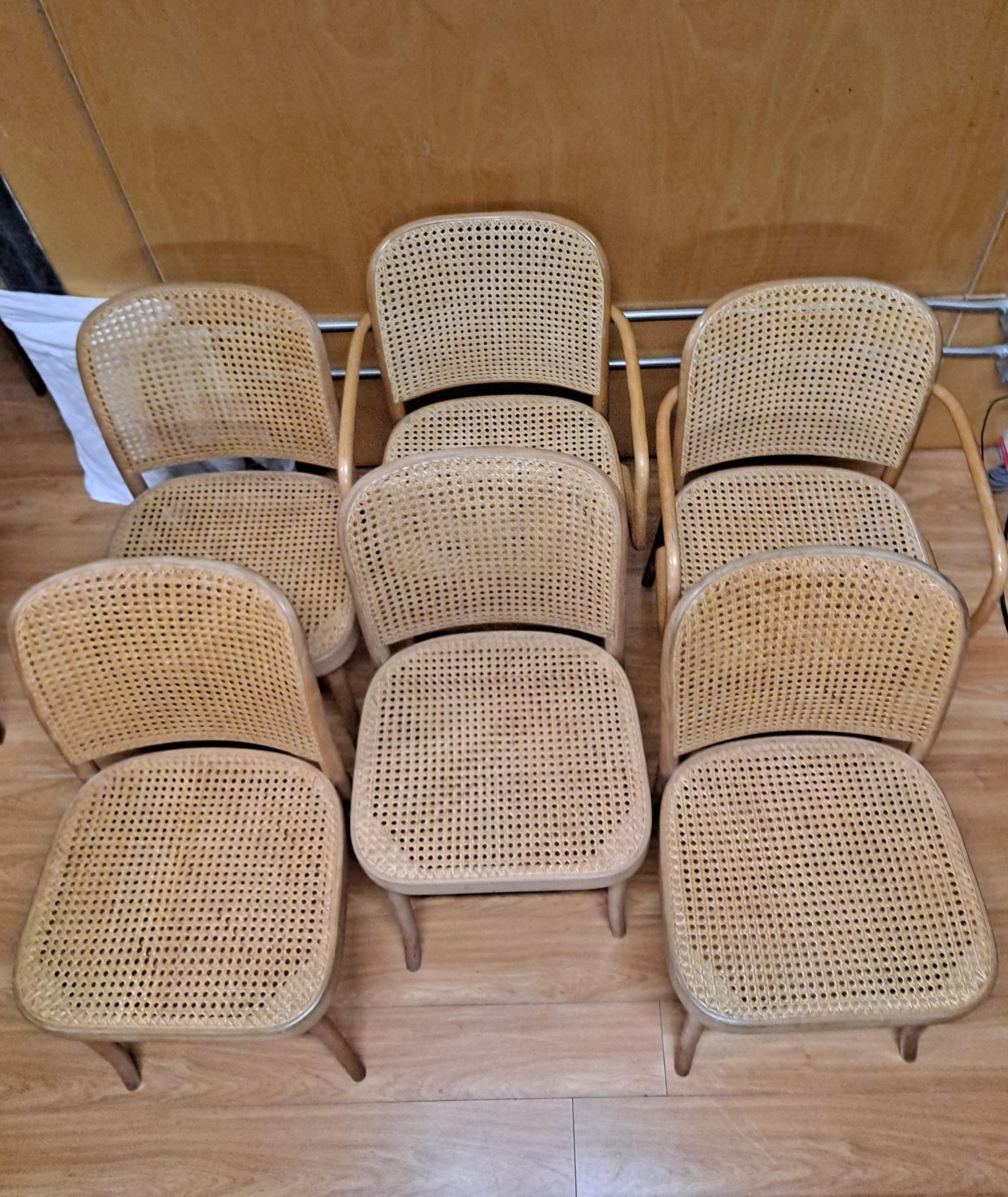 Ensemble de 6 chaises d'appoint Jose Hoffman en bois courbé et cannage

Conçu par Hoffman pour Thonet dans les années 1920 

Produit en Pologne dans les années 1960 par FMG in Poland

18L x 22P x 32H

Hauteur du siège 19