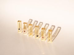 Set di 6 poggiacoltelli - Fiori, felci e semi incastonati in resina - Francia anni '70