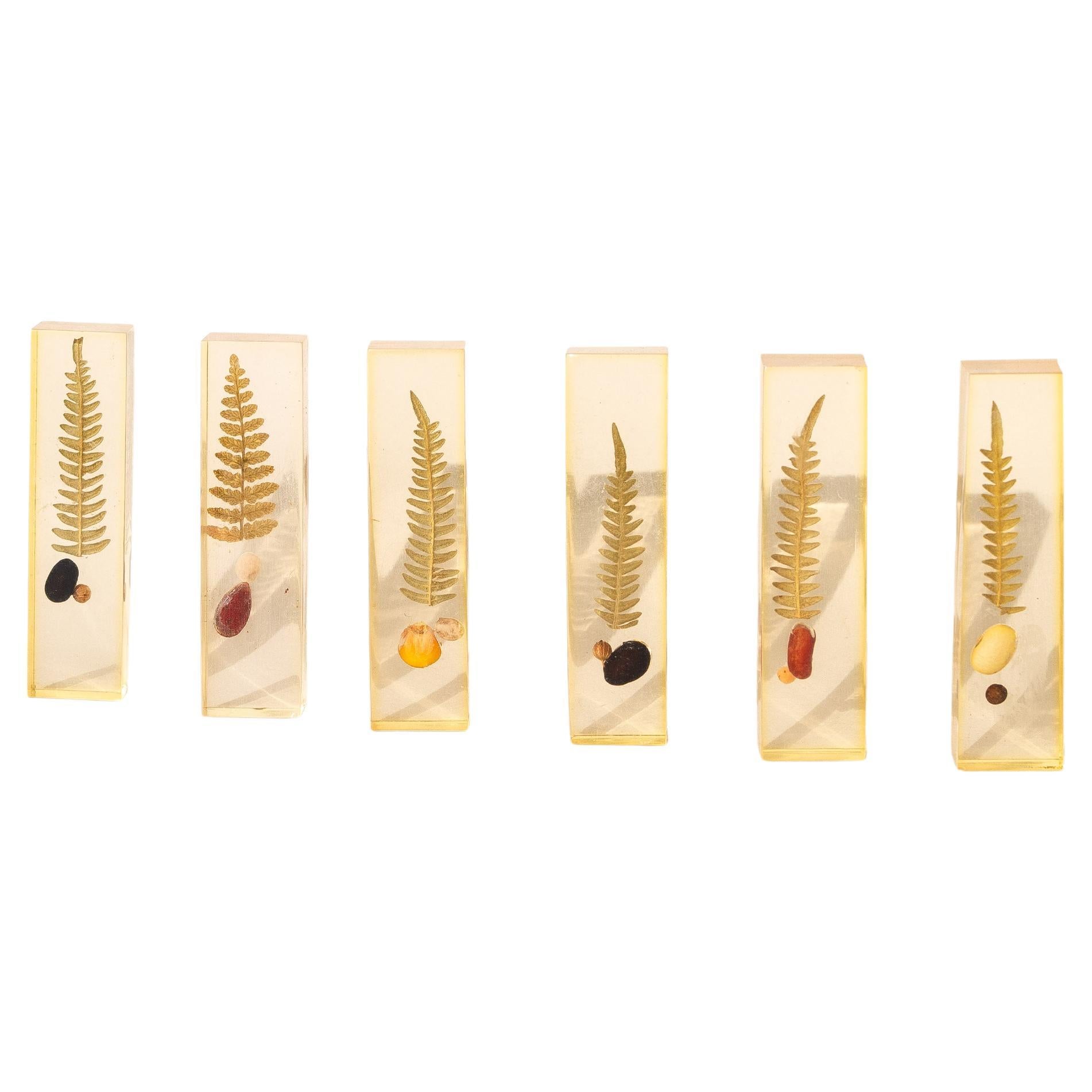 Set of 6 Knife Rests - Resin Embedded Flowers, Ferns, and Seeds - France 1970s