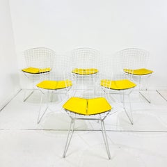 Set of 6 Knoll Bertoia Dining Chairs