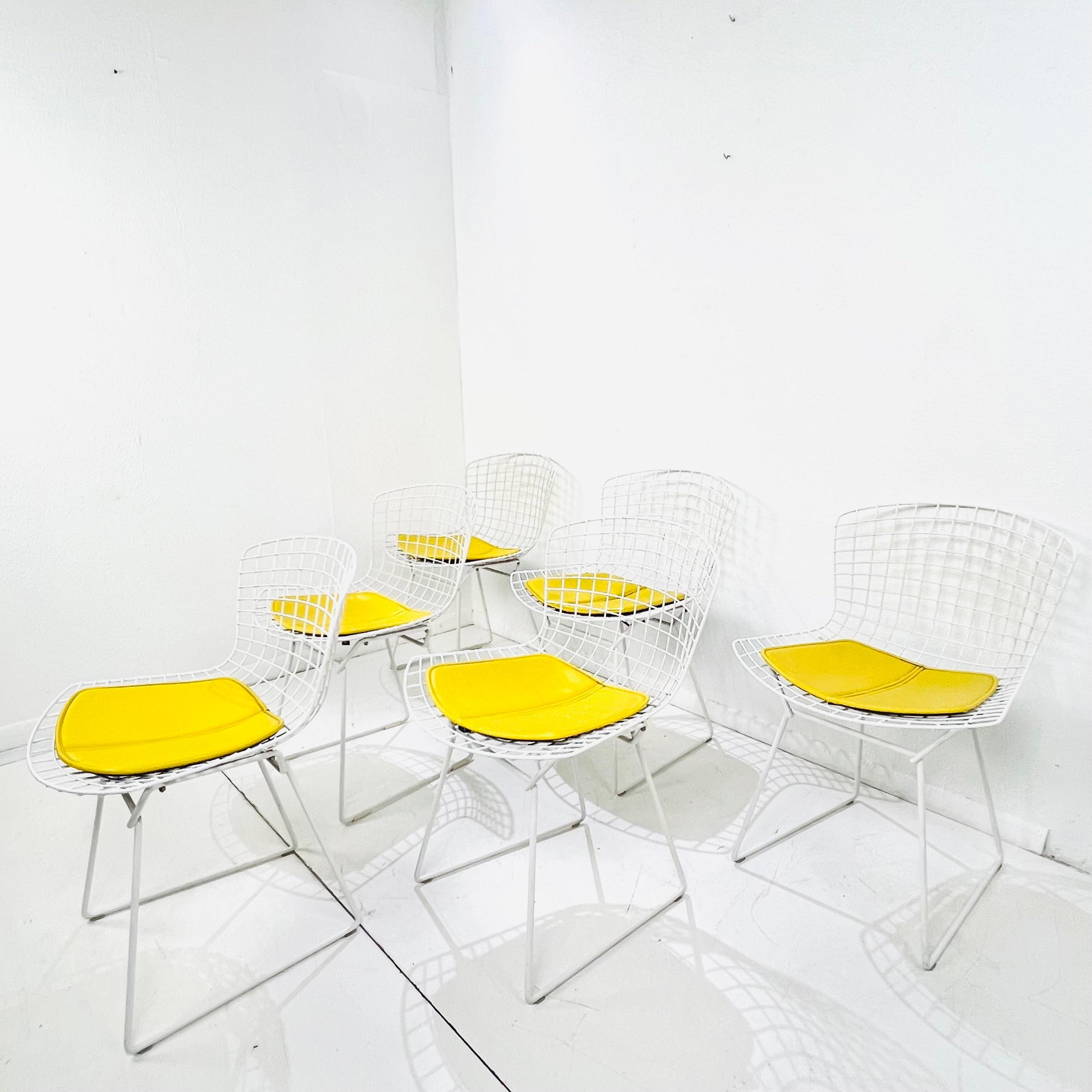 Mid-Century moderno Set di 6 sedie da pranzo Knoll Bertoia in vendita