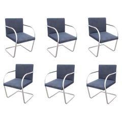 Set of 6 Knoll Mies Van Der Rhoe Tubular BRNO Chairs