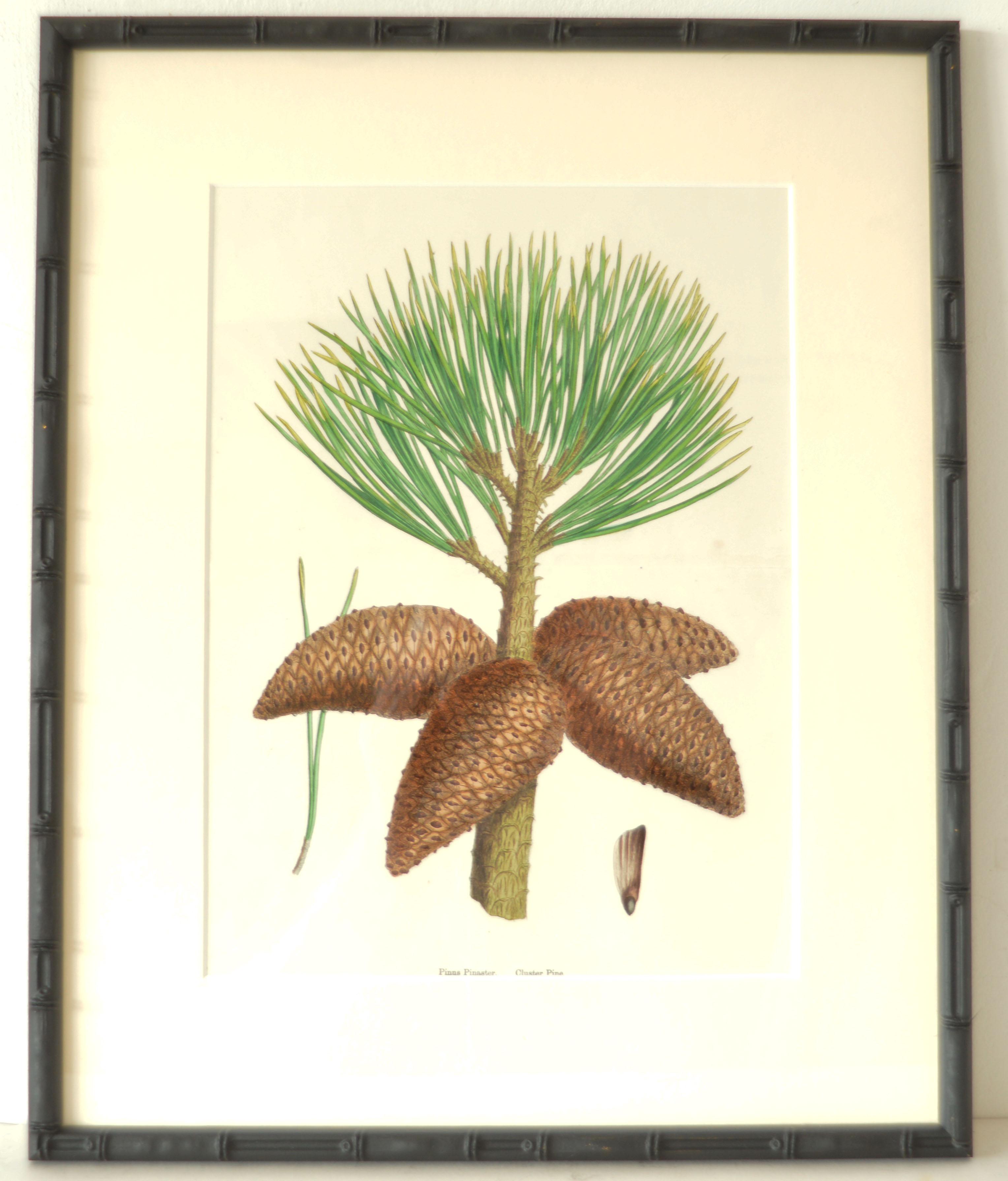 large botanical print