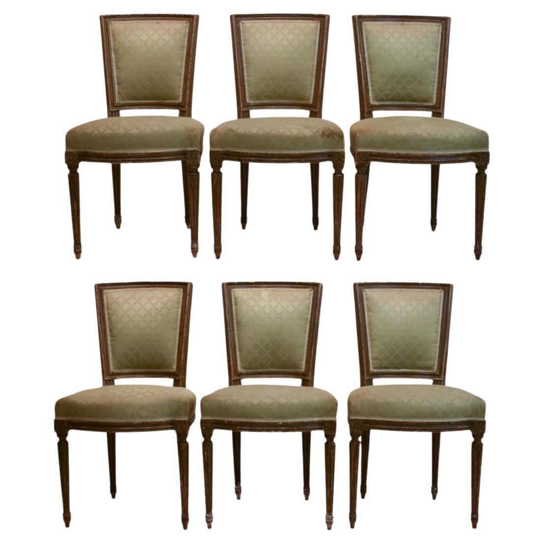 Set of 6 Late 19th Century Louis XVI Chairs For Sale at 1stDibs