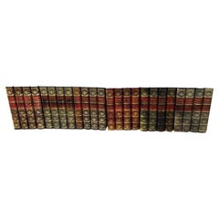 Set di 6 manichini finti rilegati in pelle  Fronti di libri di biblioteche inglesi, 20° C.