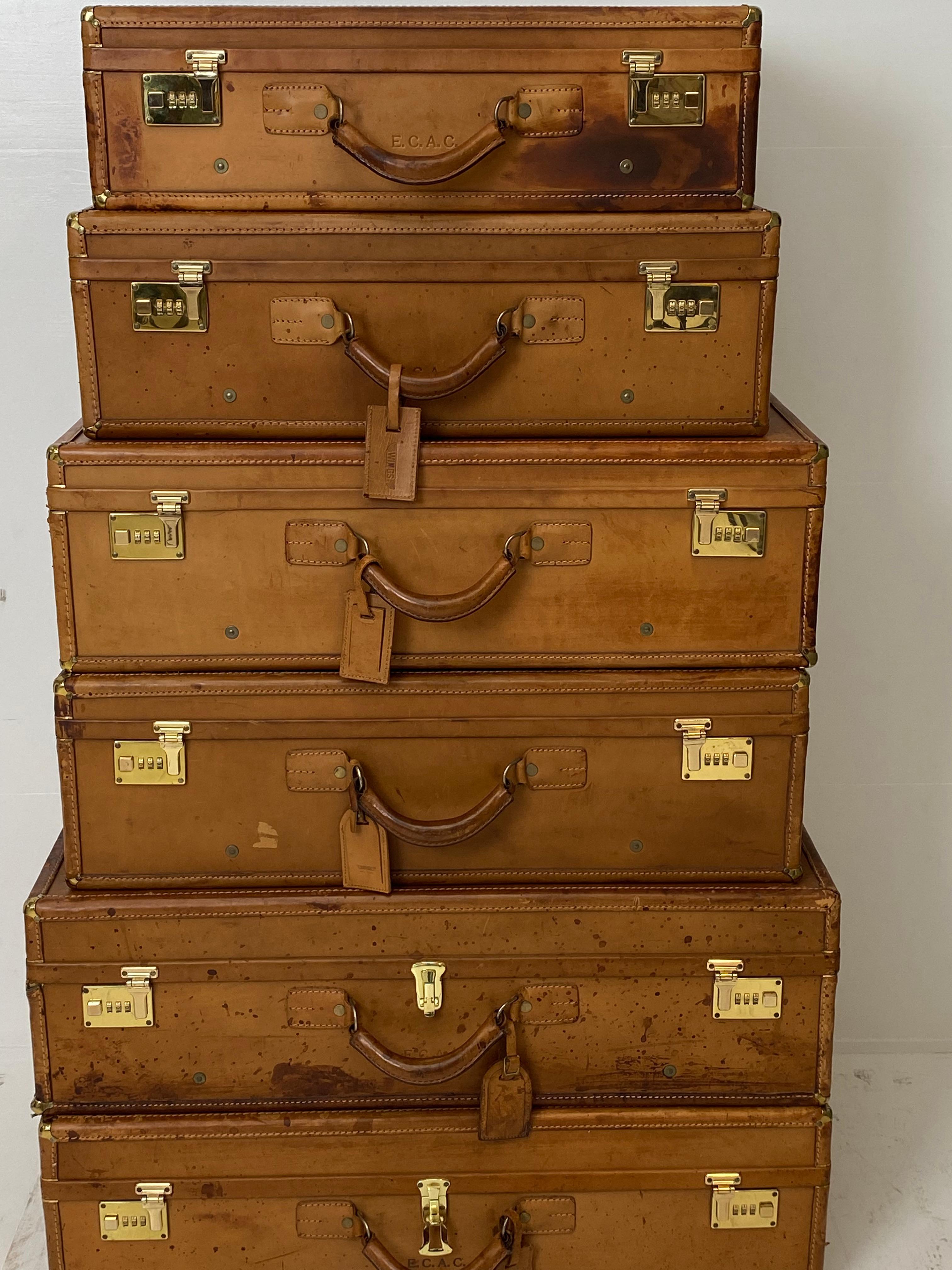 Vintage Set of 6 Leather Suitcases of the Greek Brand WINGS In Good Condition For Sale In Schellebelle, BE