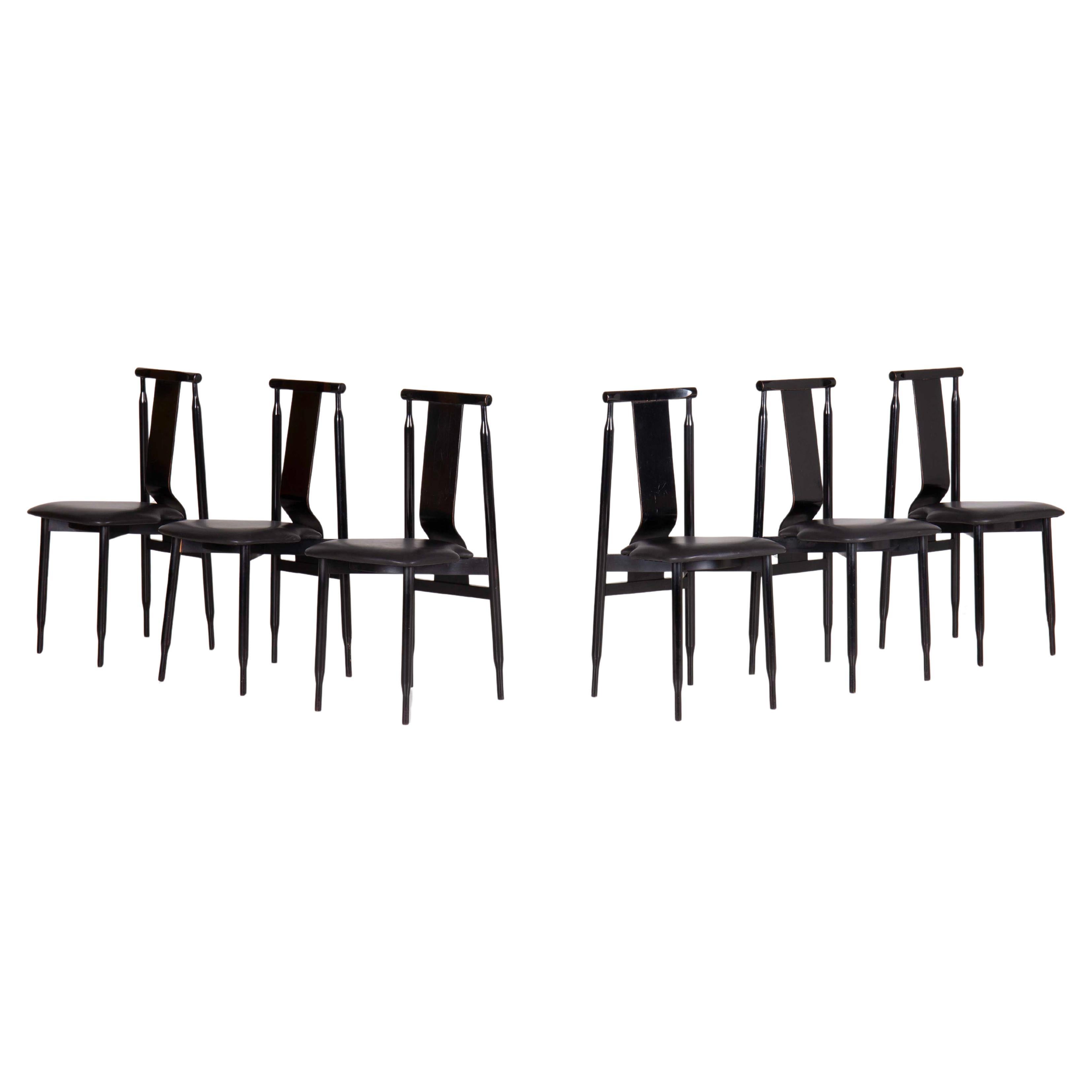 Set of 6 Lierna chairs designed by Achille & Pier Giacomo Castiglioni, 1960