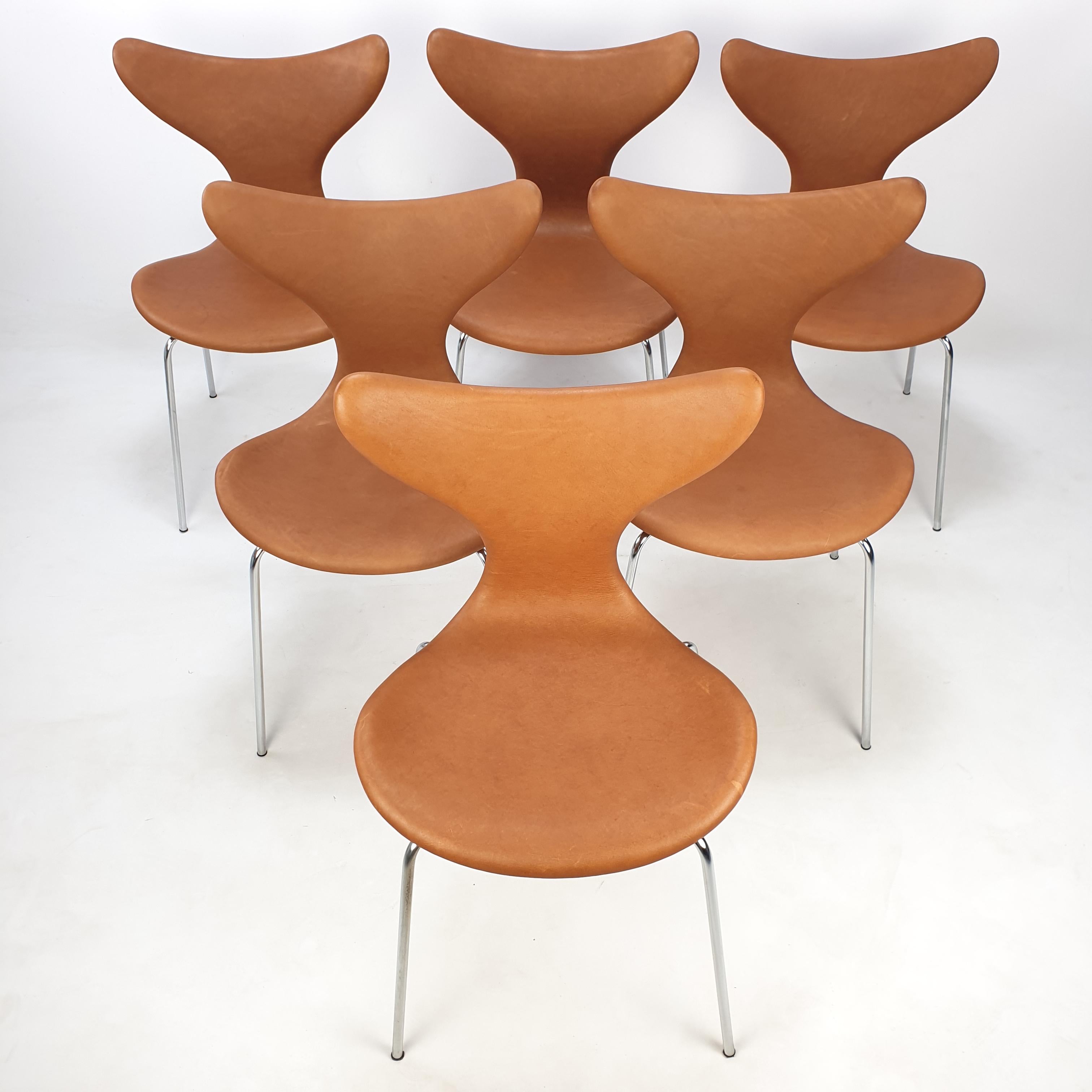Mid-Century Modern Set of 6 Lily Chairs by Arne Jacobsen for Fritz Hansen, 1960s For Sale
