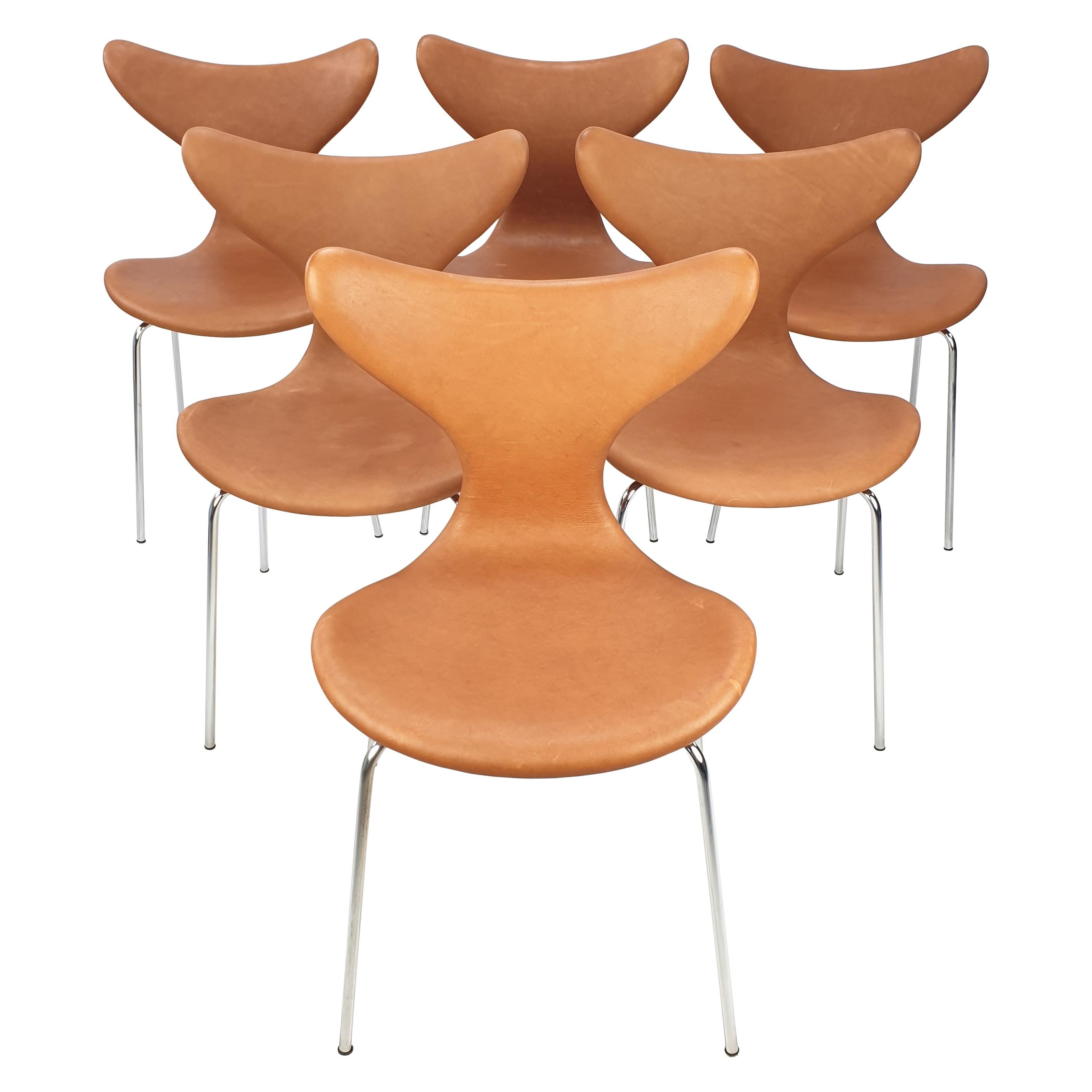 Set of 6 Lily Chairs by Arne Jacobsen for Fritz Hansen, 1960s
