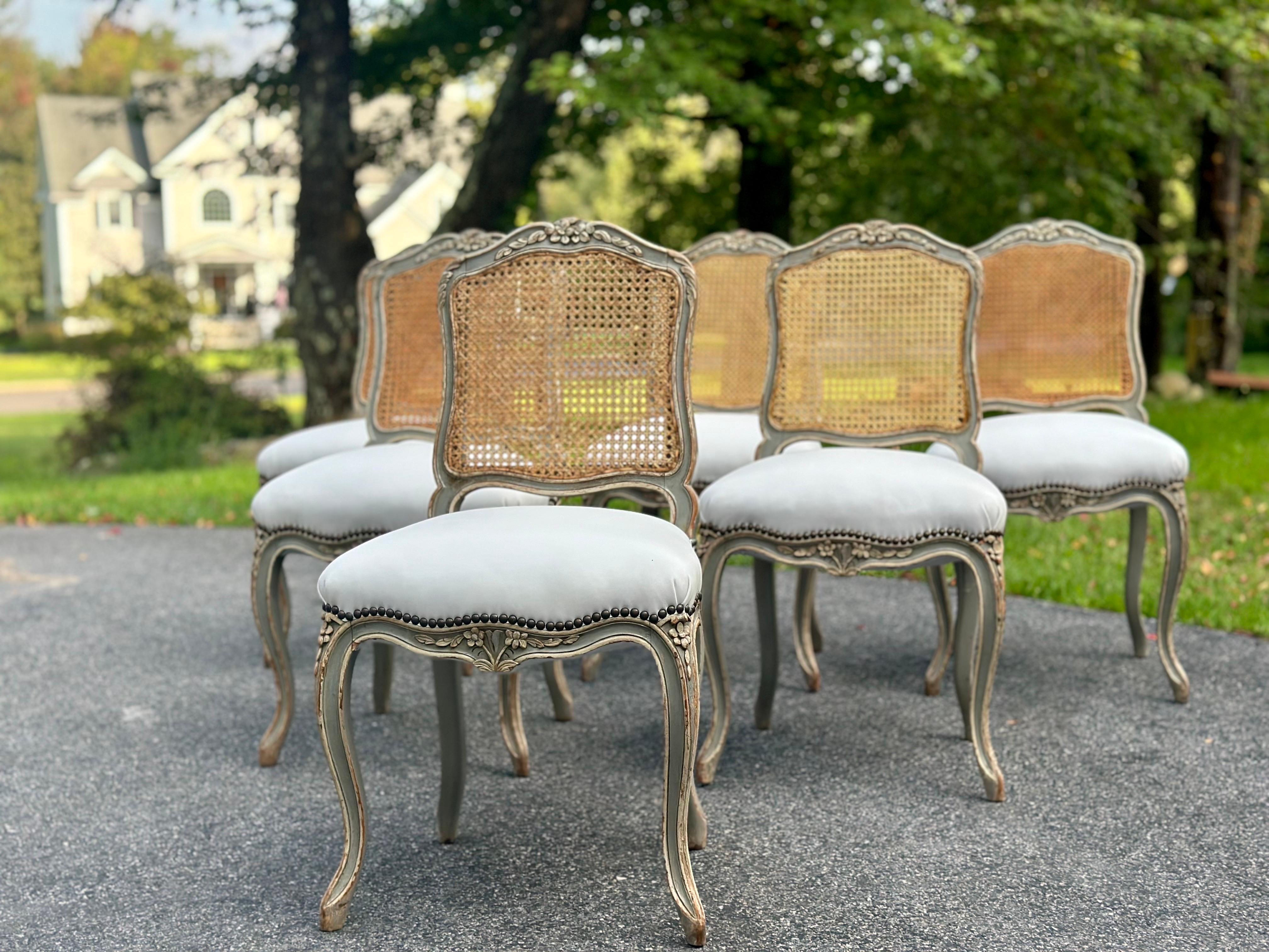 Leather Set of 6 Louis XVI French Cane leather Chairs. Circa late 1800s For Sale