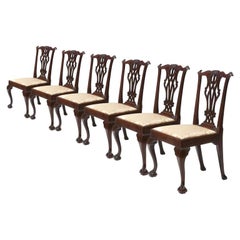 Set of 6 Mahogany Chippendale Side Chairs
